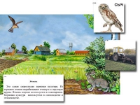 Магнитный плакат-аппликация "Поле: биоразнообразие и взаимосвязи в сообществе" - «globural.ru» - Екатеринбург