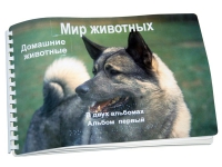 Пособие для слабовидящих "Домашние животные" - «globural.ru» - Екатеринбург