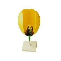 Модель цветка тюльпана - «globural.ru» - Екатеринбург