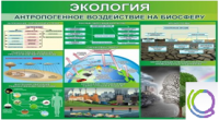 Стенд "Экология. Антропогенное воздействие на биосферу" - «globural.ru» - Екатеринбург