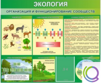 Стенд "Экология. Организация и функционирование сообществ" - «globural.ru» - Екатеринбург