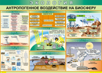 Таблица Антропогенное воздействие на биосферу 1000*700 винил - «globural.ru» - Екатеринбург