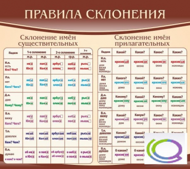 Стенд "Правила склонения" - «globural.ru» - Екатеринбург