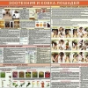 Комплект плакатов "Служебное коневодство" - «globural.ru» - Екатеринбург