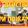 Комплект плакатов "Действия при пожаре" - «globural.ru» - Екатеринбург
