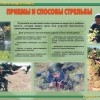 Комплект плакатов "Огневая подготовка" - «globural.ru» - Екатеринбург
