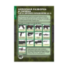 ОБЖ Основы воинской службы (комплект таблиц) - «globural.ru» - Екатеринбург