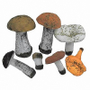 Набор муляжей грибов 7 видов - «globural.ru» - Екатеринбург
