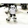 Человекоподобный робот Robotis mini (darwin-mini) - «globural.ru» - Екатеринбург