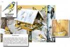 Магнитный плакат-аппликация "Биоразнообразие и экологические группы. Птицы зимой" - «globural.ru» - Екатеринбург