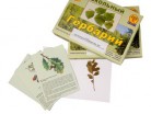 Гербарий "Растительные сообщества. Лес" (9 видов, 10 планшетов, с иллюстрациями и фотографиями) - «globural.ru» - Екатеринбург