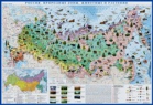 Детская настенная карта "Природные зоны России. Животные и растения" - «globural.ru» - Екатеринбург