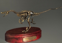 Модель скелета динозавра Velociraptor - «globural.ru» - Екатеринбург