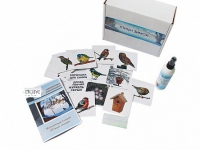 Магнитно-маркерный плакат "Птицы зимой" с набором магнитных карточек + методические рекомендации - «globural.ru» - Екатеринбург