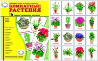 Демонстрационные карточки "Комнатные растения" - «globural.ru» - Екатеринбург