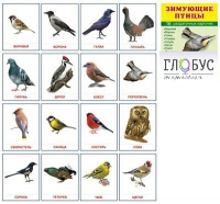 Раздаточные карточки "Зимующие птицы" - «globural.ru» - Екатеринбург