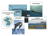Модель-аппликация "Океаны. Знакомство" (ламинированная) - «globural.ru» - Екатеринбург