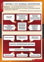 ОБЖ Здоровый образ жизни (комплект таблиц) - «globural.ru» - Екатеринбург