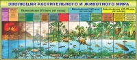 Стенд "Эволюция растительного и животного мира" - «globural.ru» - Екатеринбург