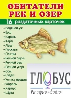 Раздаточные карточки "Обитатели рек и озер" - «globural.ru» - Екатеринбург