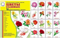 Демонстрационные карточки "Цветы садовые" - «globural.ru» - Екатеринбург
