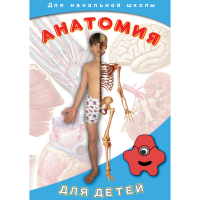 DVD  Анатомия для детей - «globural.ru» - Екатеринбург