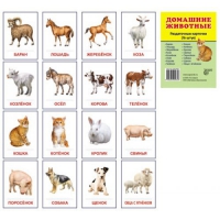 Раздаточные карточки "Домашние животные" - «globural.ru» - Екатеринбург