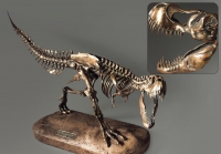 Модель скелета динозавра Tyrannosaurus - «globural.ru» - Екатеринбург