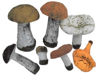 Набор муляжей грибов 7 штук - «globural.ru» - Екатеринбург