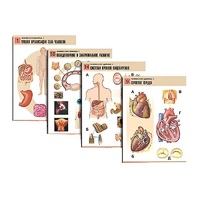 Комплект таблиц по биологии демонстрационный "Человек и его здоровье 1" (20 таблиц, формат А1, лам.) - «globural.ru» - Екатеринбург