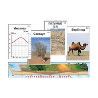 Модель-аппликация "Природные зоны" (ламинированная) - «globural.ru» - Екатеринбург