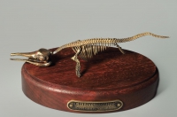 Модель скелета ихтиозавра Ichthyosaurus - «globural.ru» - Екатеринбург