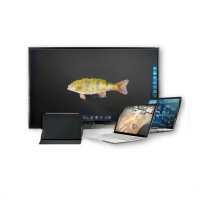 Интерактивное наглядное 3D пособие «Аквакультура» - «globural.ru» - Екатеринбург