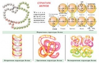 Плакаты и таблицы по общей химии - «globural.ru» - Екатеринбург
