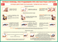 Таблица Порядок действий при ранениях и термических ожогах	 1000*1400 винил - «globural.ru» - Екатеринбург