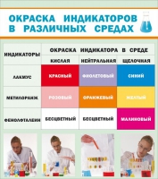 Стенд "Окраска индикаторов в различных средах" - «globural.ru» - Екатеринбург