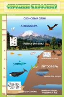 Стенд "Строение биосферы" - «globural.ru» - Екатеринбург