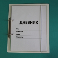 Дневник школьника (с полным набором карточек) - «globural.ru» - Екатеринбург