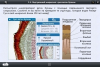 Интерактивные курсы. Биология 5 класс. Базовый  - «globural.ru» - Екатеринбург