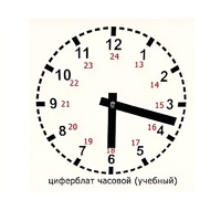 Часовой циферблат раздаточный - «globural.ru» - Екатеринбург