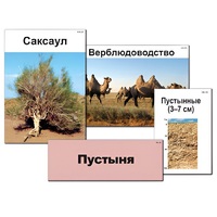 Модель-аппликация "Природные зоны России" - «globural.ru» - Екатеринбург