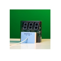 Датчик температуры с независимой индикацией (термометр демонстрационный) - «globural.ru» - Екатеринбург