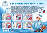 Стенд "Как правильно чистить зубы" - «globural.ru» - Екатеринбург