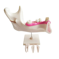 Комплект моделей - «globural.ru» - Екатеринбург