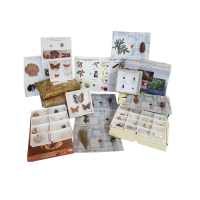 Комплект коллекций демонстрационный - «globural.ru» - Екатеринбург