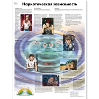 Плакат "Наркотическая зависимость", ламинированный, 50*67 см - «globural.ru» - Екатеринбург