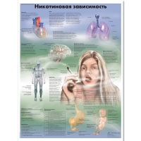 Плакат "Никотиновая зависимость", ламинированный, 50*67 см - «globural.ru» - Екатеринбург