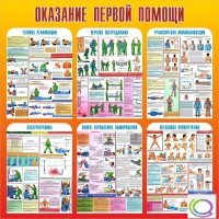 Стенд "Оказание первой помощи" - «globural.ru» - Екатеринбург