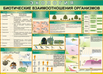 Таблица Биотические взаимоотношения организмов 1000*700 (винил) - «globural.ru» - Екатеринбург