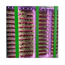 Вертикальная ферма "Моя Микрозелень" комплектация Школьная - «globural.ru» - Екатеринбург